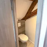 Beauty & The Beast - Old Town Cosy Colmar