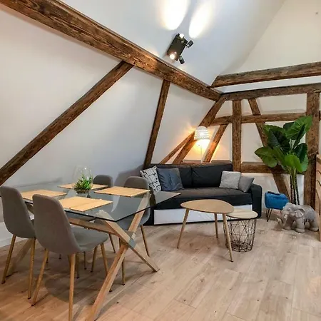 Beauty & The Beast - Old Town Cosy Apartment Colmar