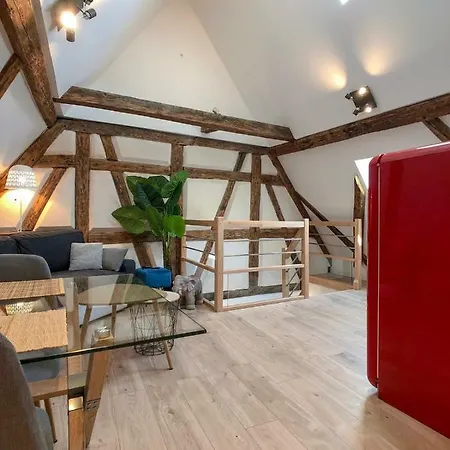 Apartment Beauty & The Beast - Old Town Cosy Colmar