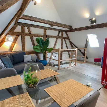 Beauty & The Beast - Old Town Cosy Colmar