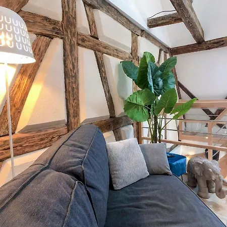 Beauty & The Beast - Old Town Cosy Colmar