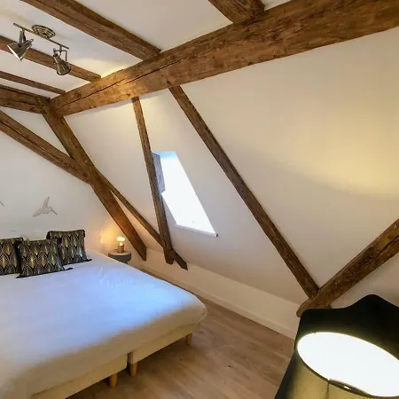 Beauty & The Beast - Old Town Cosy Apartment Colmar