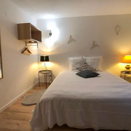 Apartment Beauty & The Beast - Old Town Cosy Colmar