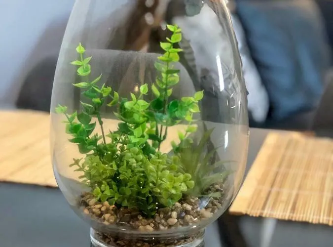 Beauty & The Beast - Old Town Cosy Colmar