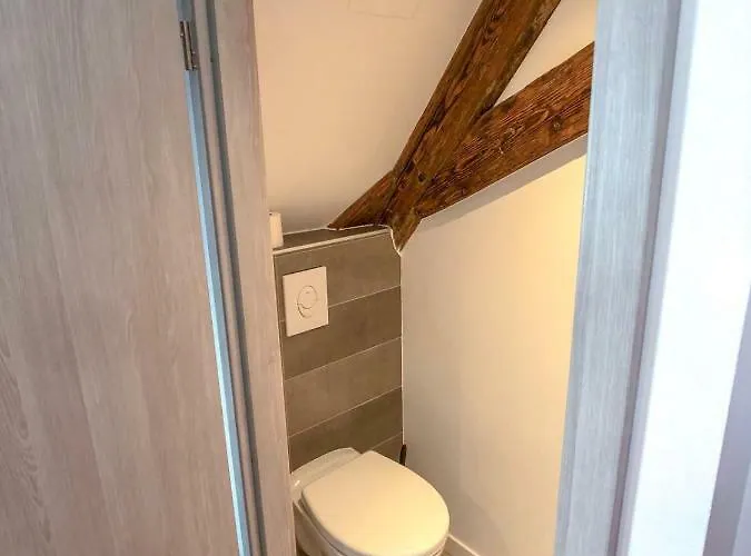 Beauty & The Beast - Old Town Cosy Colmar